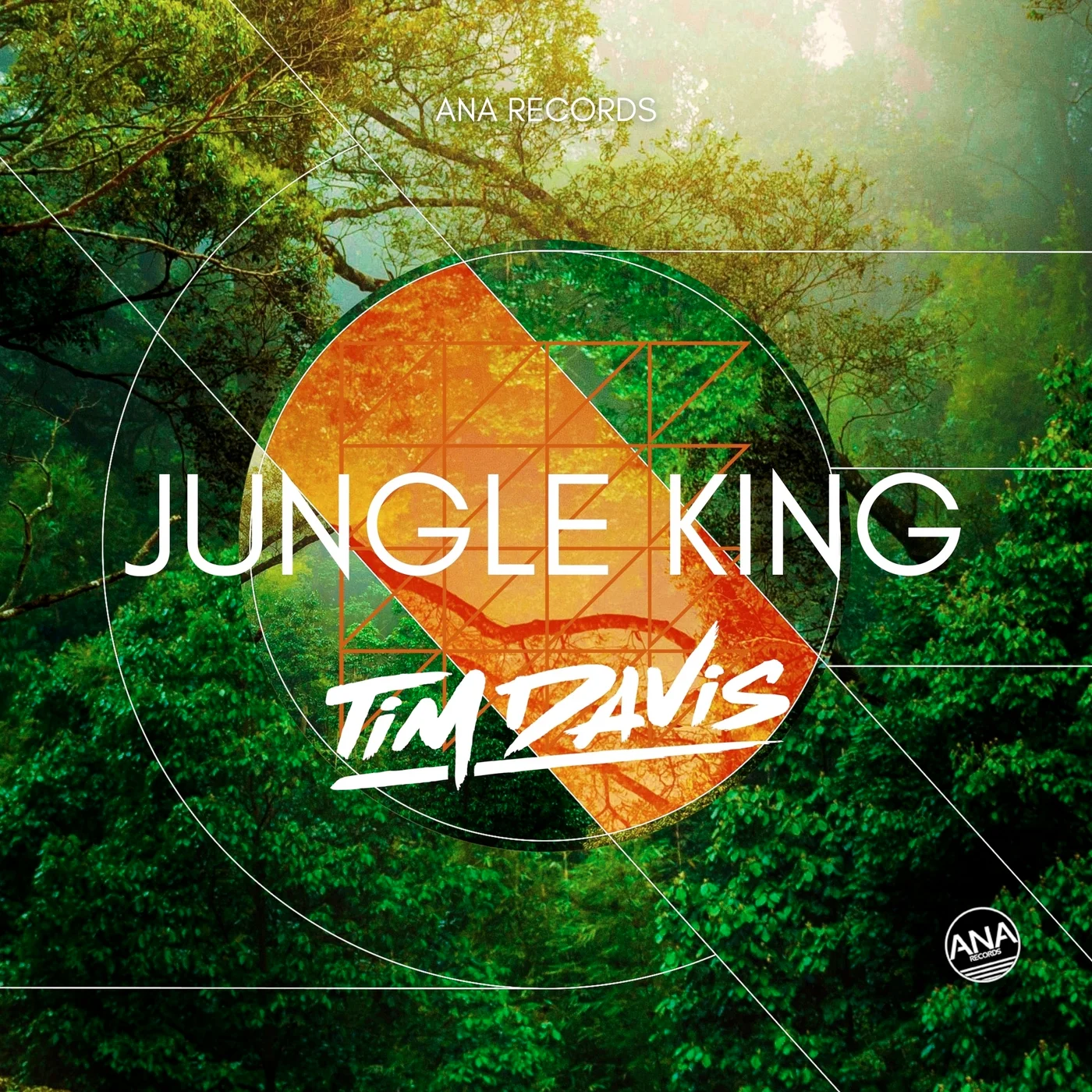 Timdavis jungle